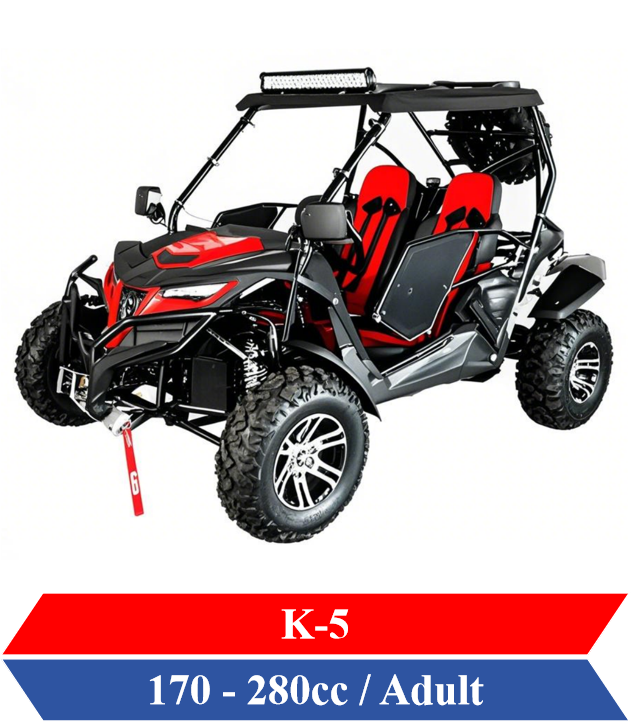 Dune Buggy for Adults off road go karts AWD 200cc AWD UTV Factory
