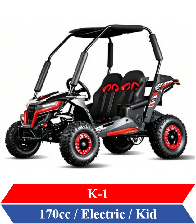 Dune Buggy for Kids off road go karts AWD 200cc Kayo UTV