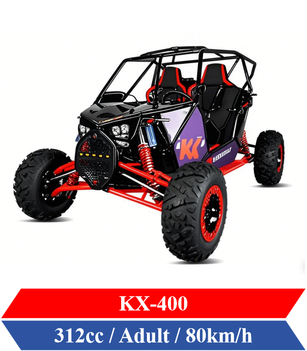 Dune Buggy for Adults off road go karts AWD 300cc AWD UTV Desert