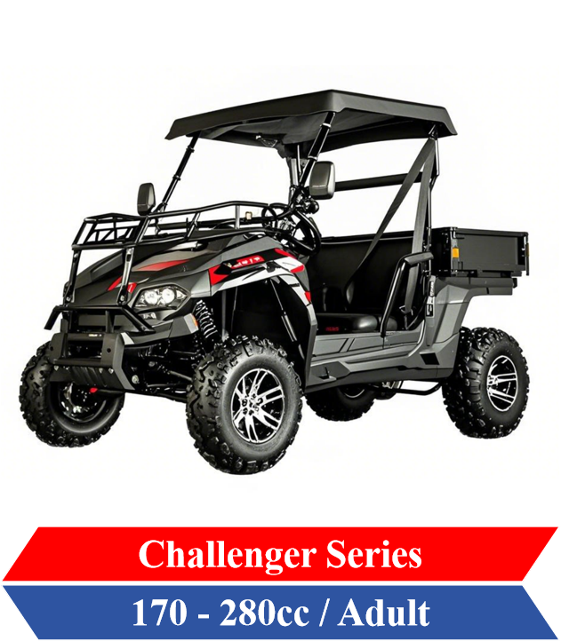 UTV Side by Side AWD Dune Buggy for farm 300cc