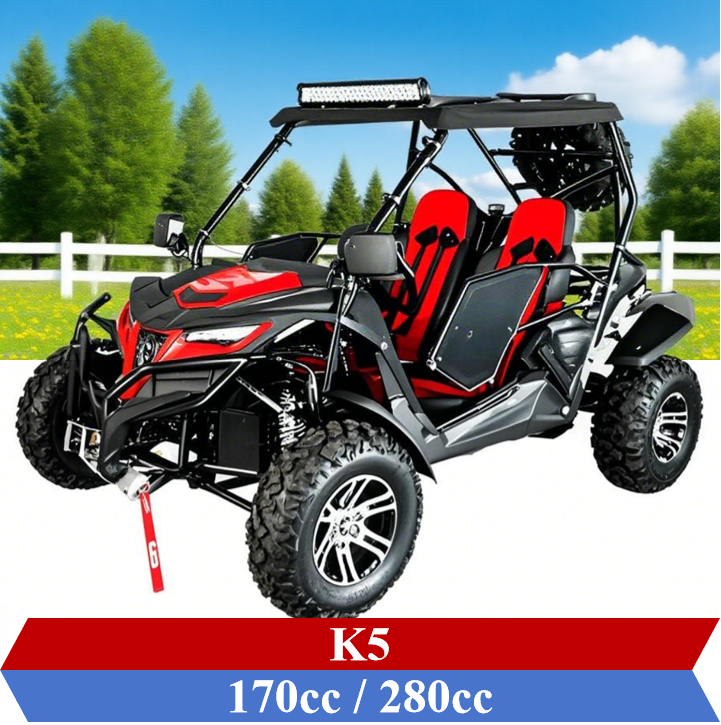Dune Buggy for Adults off road go karts AWD 200cc AWD UTV Factory