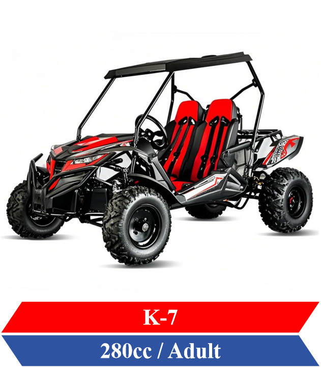 Dune Buggy for Adults off road go karts AWD 300cc AWD UTV Manufacturer