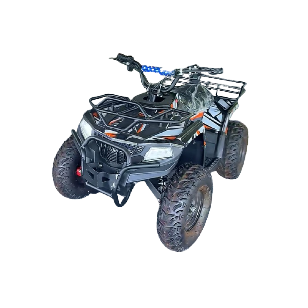 Electric Kids' Quad Mini ATV Quadbike