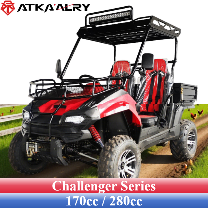 Side-by-side 2-seater utv aodes farm off-road