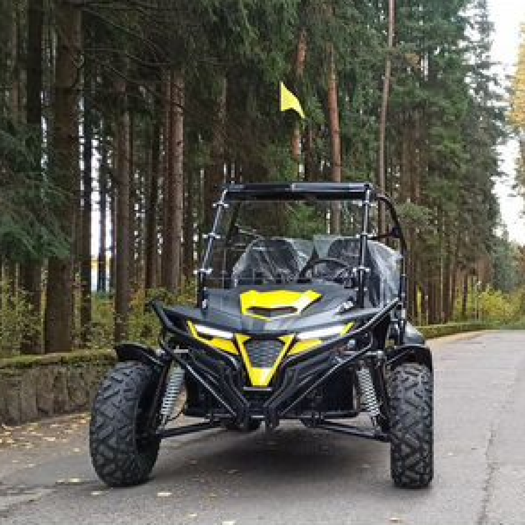 K5 Buggy Off-road Go-karts Junior UTV 200cc