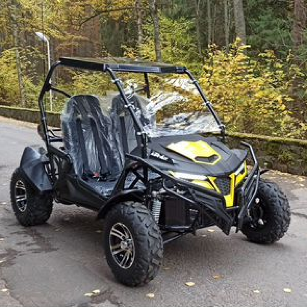 K5 Buggy Off-road Go-karts Junior UTV 200cc